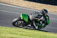 Middle 1 Group Green Bikes